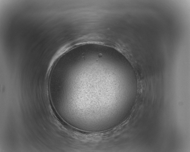 X0000068280004200604281630