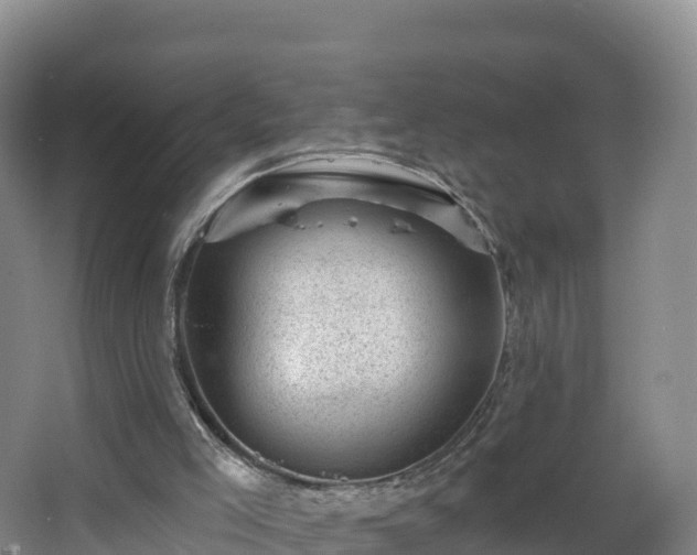 X0000068280005200604281630