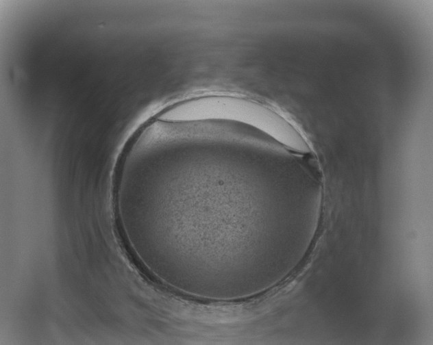 X0000068280008200604281629