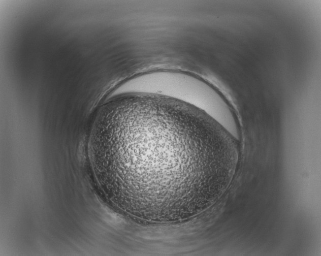 X0000068280009200604281629