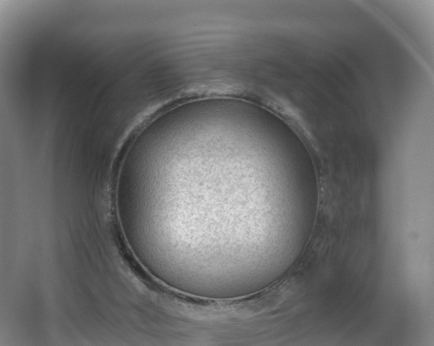 X0000068280012200604281629