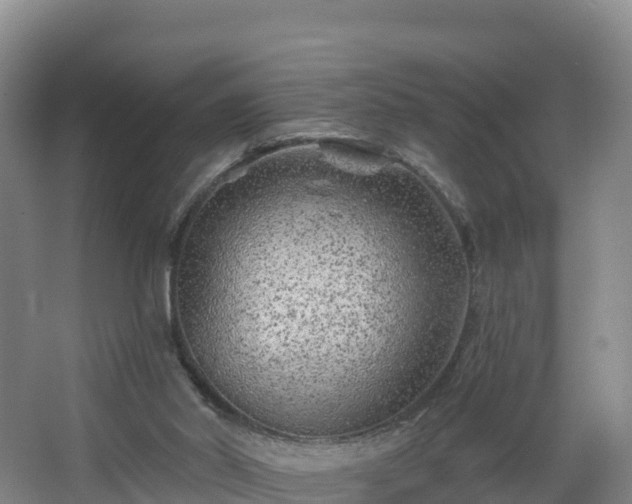 X0000068280014200604281629