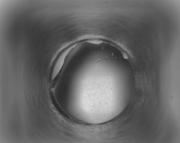 X0000068280015200604281629