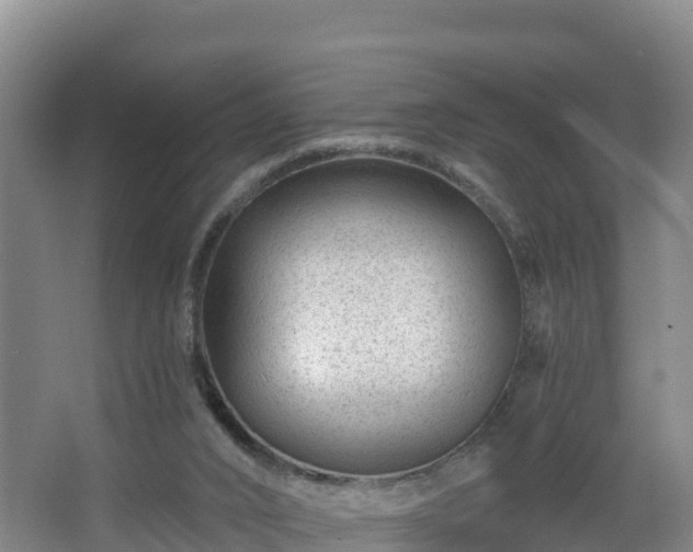 X0000068280016200604281629