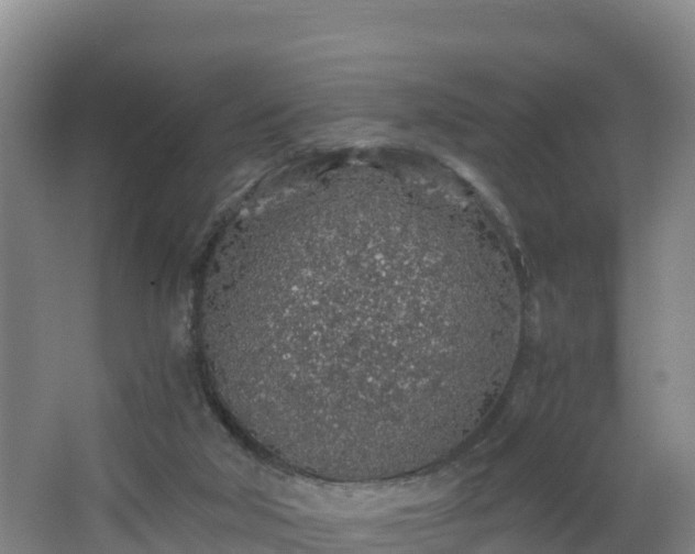 X0000068280018200604281629