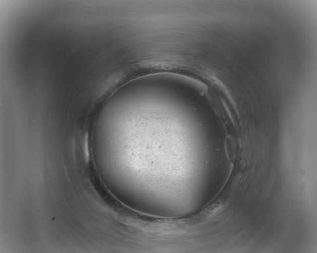 X0000068280020200604281629