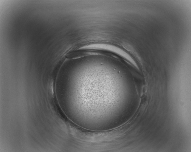 X0000068280021200604281629