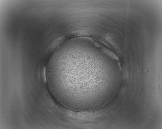 X0000068280022200604281629