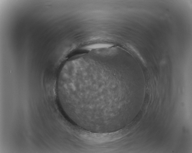 X0000068280023200604281629