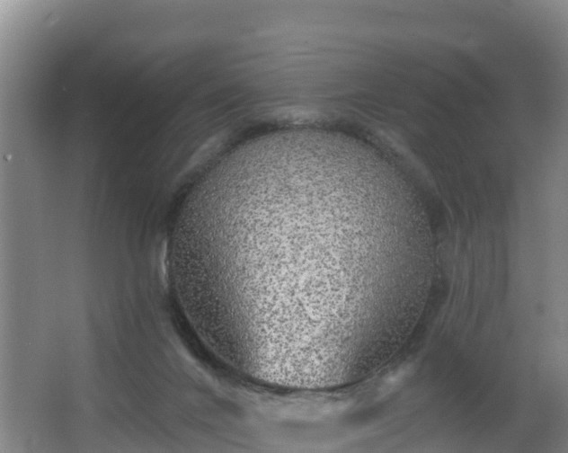 X0000068280024200604281629