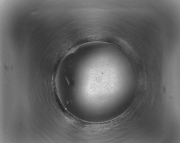 X0000068280025200604281629