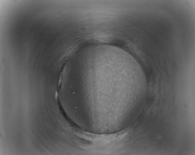 X0000068280027200604281629