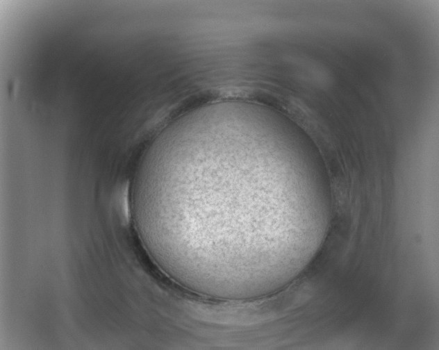 X0000068280028200604281629