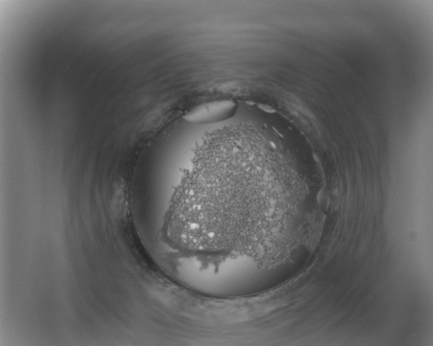 X0000068280029200604281629