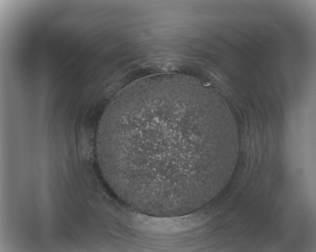 X0000068280030200604281629