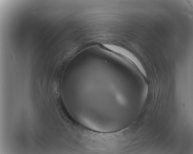 X0000068280031200604281629