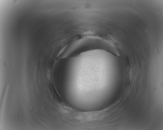 X0000068280033200604281629