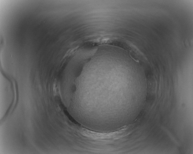 X0000068280035200604281629