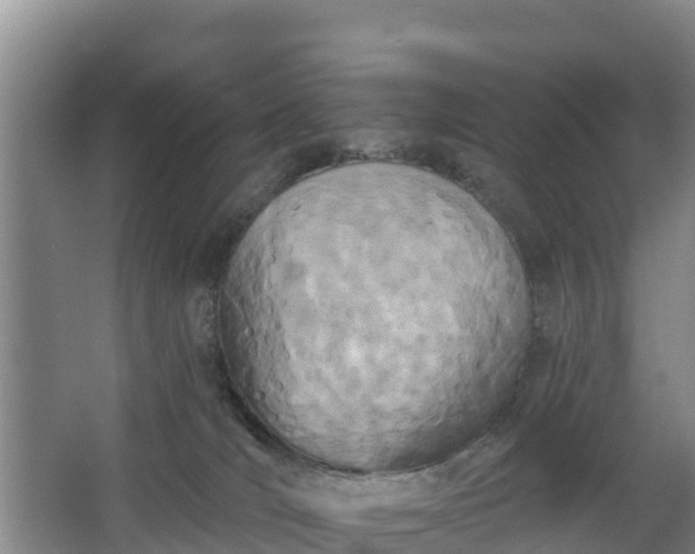 X0000068280036200604281629