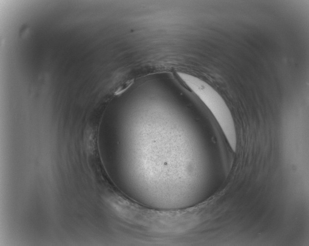 X0000068280037200604281629