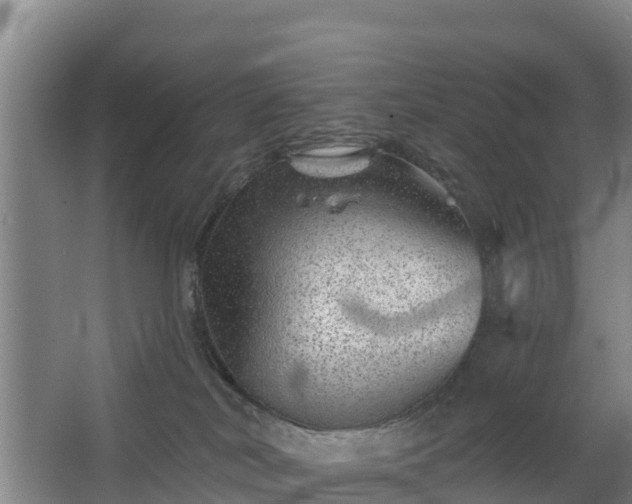 X0000068280038200604281629