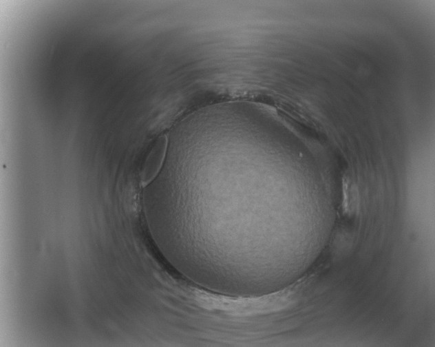 X0000068280039200604281629