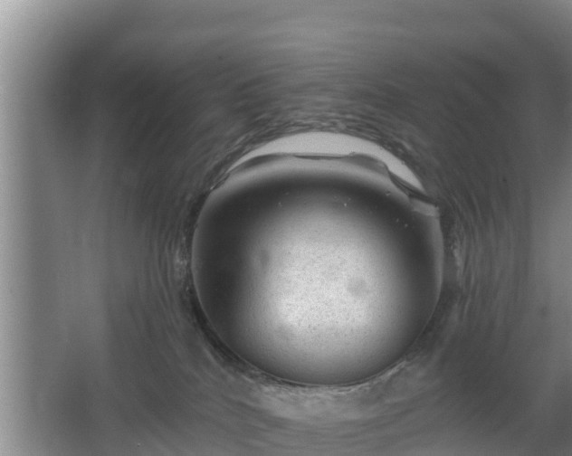 X0000068280040200604281629