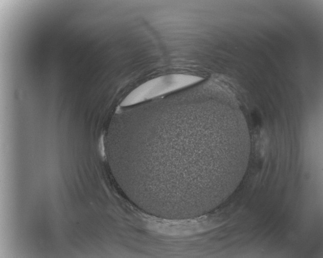 X0000068280042200604281629