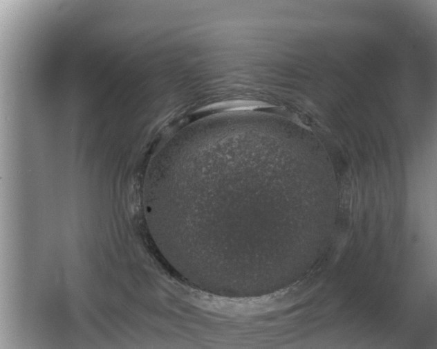 X0000068280043200604281629