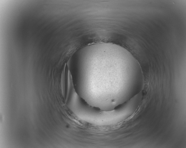 X0000068280045200604281629