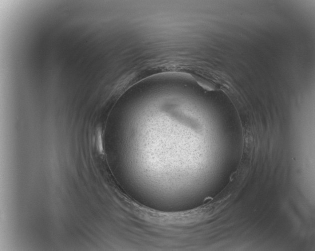 X0000068280046200604281629