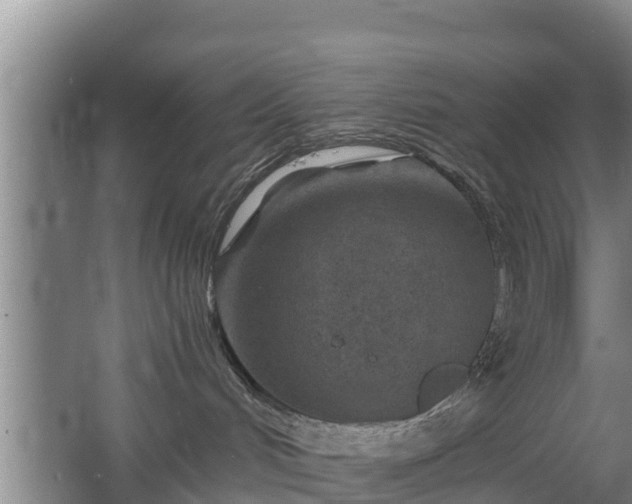 X0000068280048200604281629