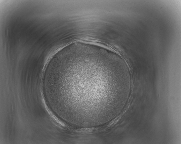 X0000068280049200604281628