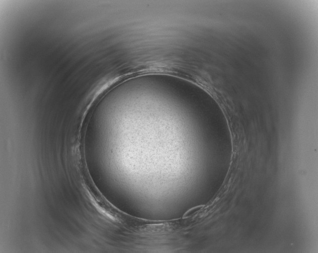 X0000068280050200604281628