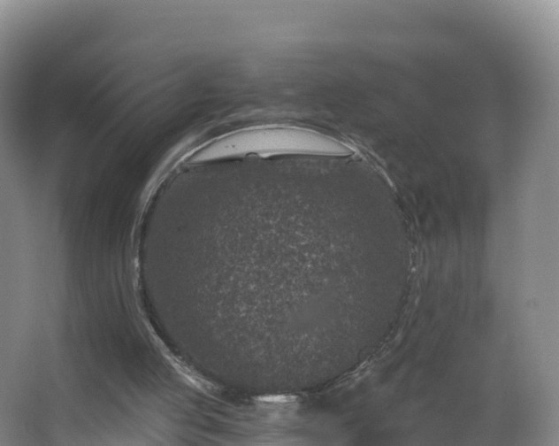 X0000068280053200604281628