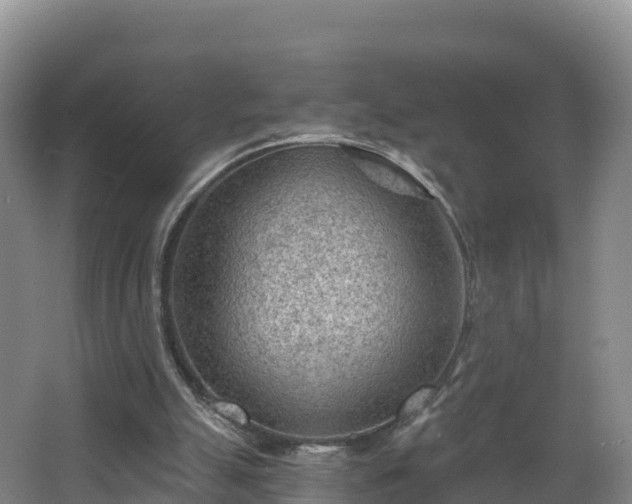 X0000068280055200604281628