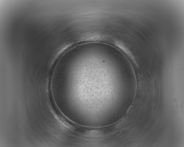 X0000068280058200604281628