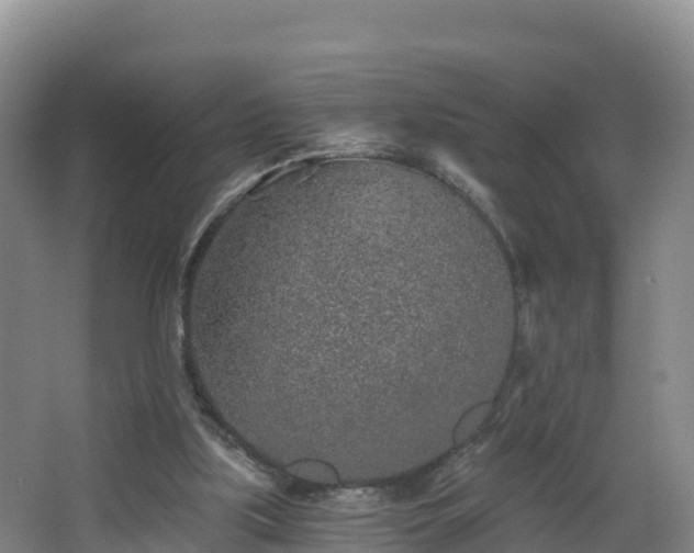 X0000068280059200604281628