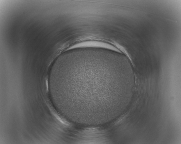 X0000068280061200604281628