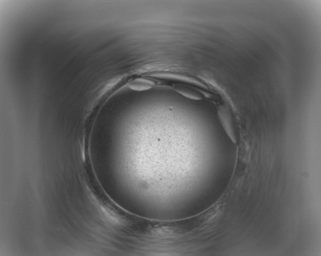 X0000068280062200604281628