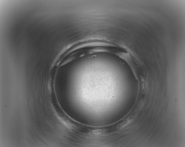 X0000068280064200604281628