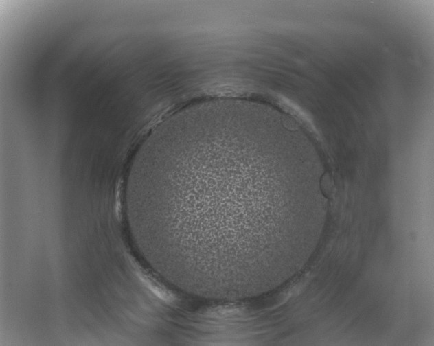 X0000068280065200604281628