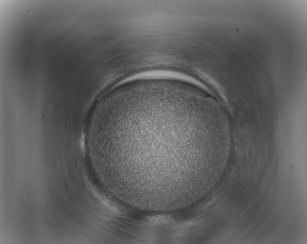 X0000068280067200604281628