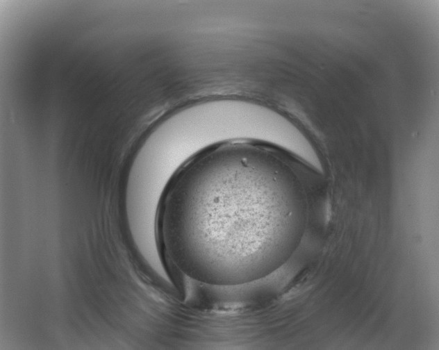 X0000068280068200604281628