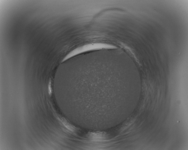 X0000068280069200604281628