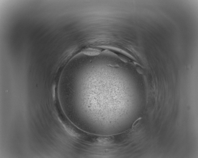 X0000068280070200604281628