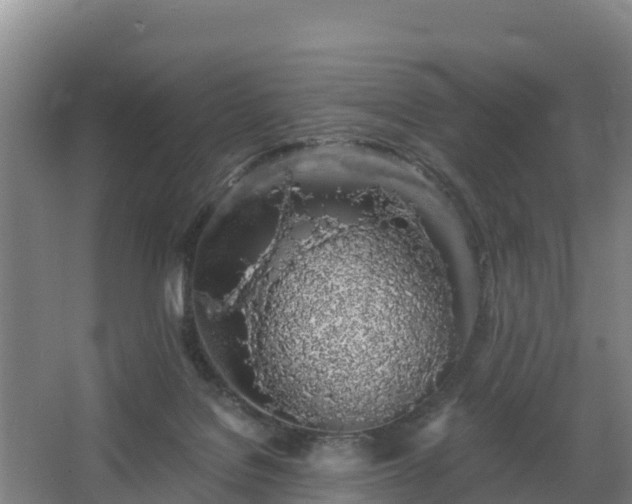 X0000068280076200604281628