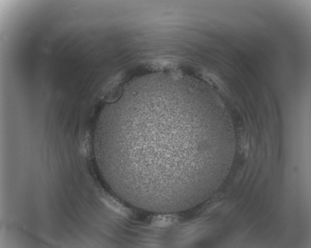 X0000068280077200604281628