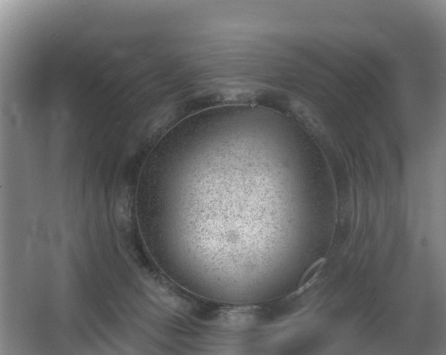 X0000068280078200604281628