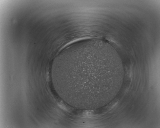 X0000068280080200604281629